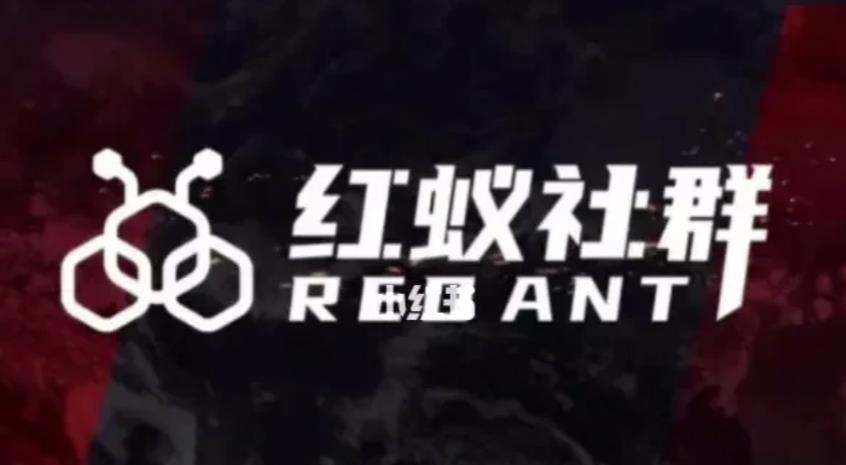 社群运营：红蚁社群【48节落地系统课程+2000人高端社群】-润泽资源库