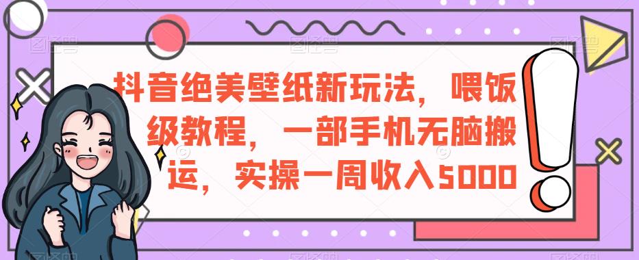 抖音绝美壁纸新玩法，喂饭级教程，一部手机无脑搬运，实操一周收入5000【揭秘】-润泽资源库