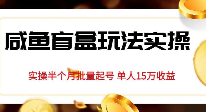 独家首发咸鱼盲盒玩法实操，半个月批量起号单人15万收益【揭秘】-润泽资源库