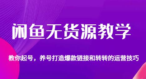 闲鱼无货源教学，教你起号，养号打造爆款链接以及转转的运营技巧-润泽资源库