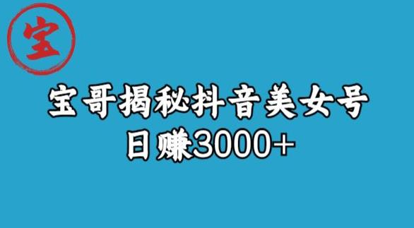 宝哥揭秘抖音美女号玩法，日赚3000+【揭秘】-润泽资源库