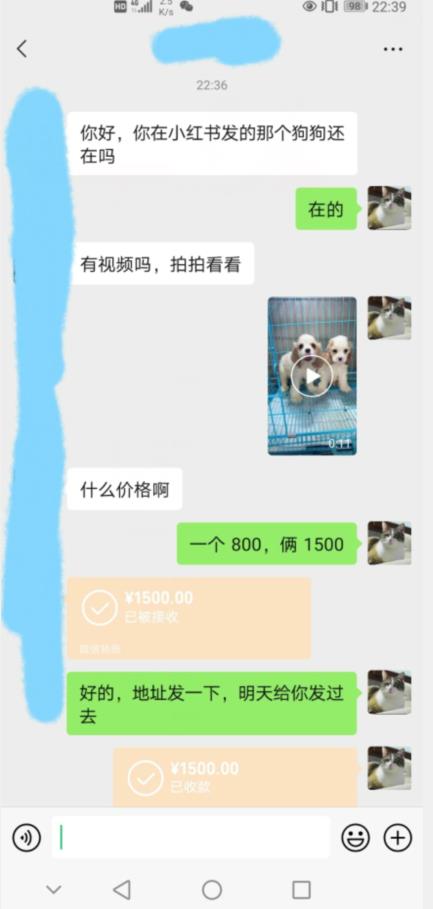 外边收费3980的同城萌宠项目，用最冷门的玩法冲击最热门的市场【揭秘】-润泽资源库