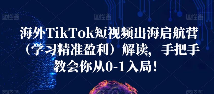 海外TikTok短视频出海启航营（学习精准盈利）解读，手把手教会你从0-1入局！-润泽资源库