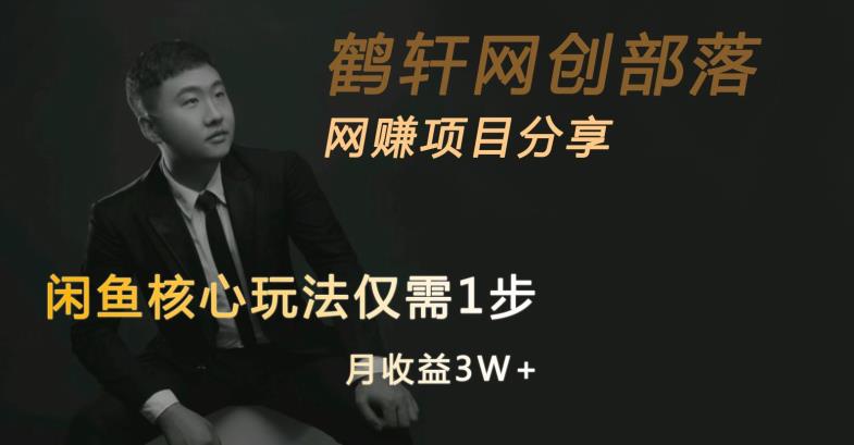 闲鱼核心玩法不卖货也能1年变现20W，玩法简单-润泽资源库