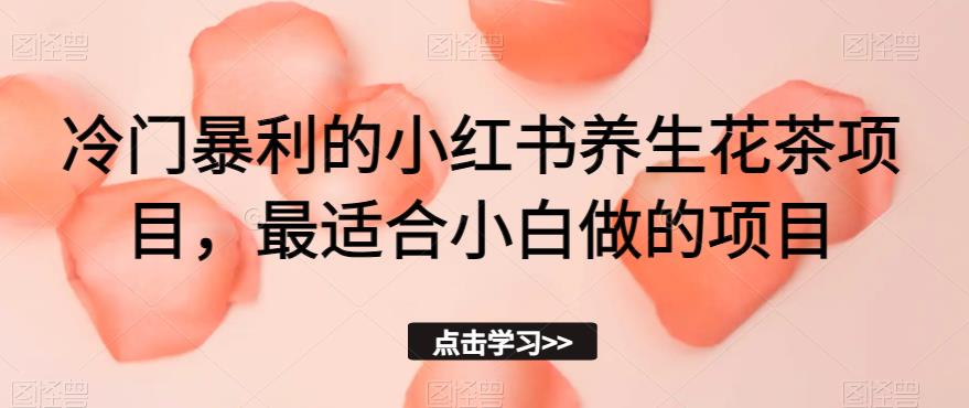 冷门暴利的小红书养生花茶项目，最适合小白做的项目【揭秘】-润泽资源库