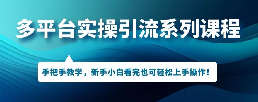 多平台引流实操系列课程，新手小白看完也可轻松上手进行引流操作-润泽资源库