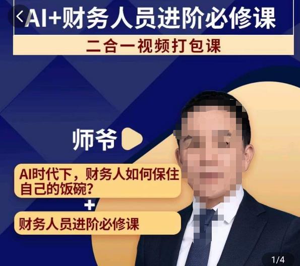 AI+财务人员进阶必修课二合一视频打包课，财务人员进阶必修课-润泽资源库