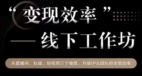变现效率线下工作坊，从‮播直‬间、私域、‮视短‬频‮个三‬维度，升级IP和团队变现效率-润泽资源库