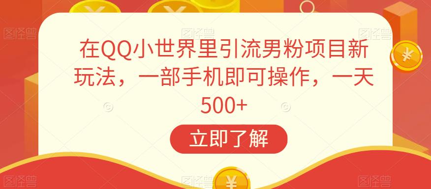 在QQ小世界里引流男粉项目新玩法，一部手机即可操作，一天500+【揭秘】-润泽资源库