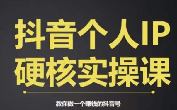个人IP创富系统实战课，商业定位，流量打造，短视频变现，教你做个赚钱的抖音号-润泽资源库