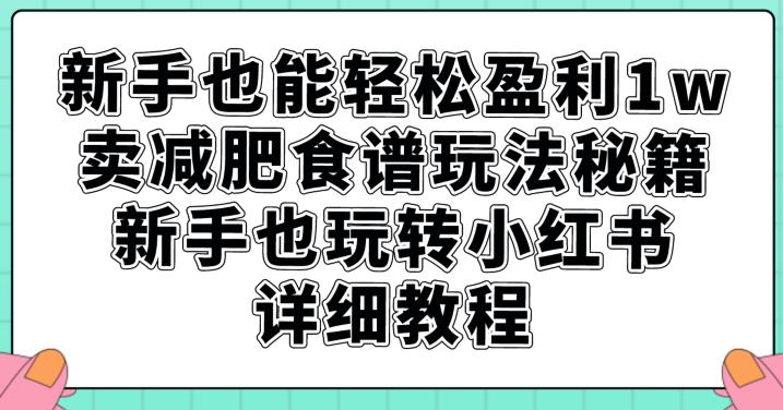 新手也能轻松盈利1w，卖减肥食谱玩法秘籍，新手也玩转小红书详细教程【揭秘】-润泽资源库