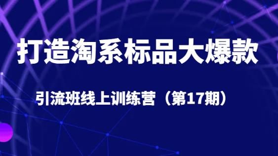 打造淘系标品大爆款引流班线上训练营（第17期）5天直播授课-润泽资源库