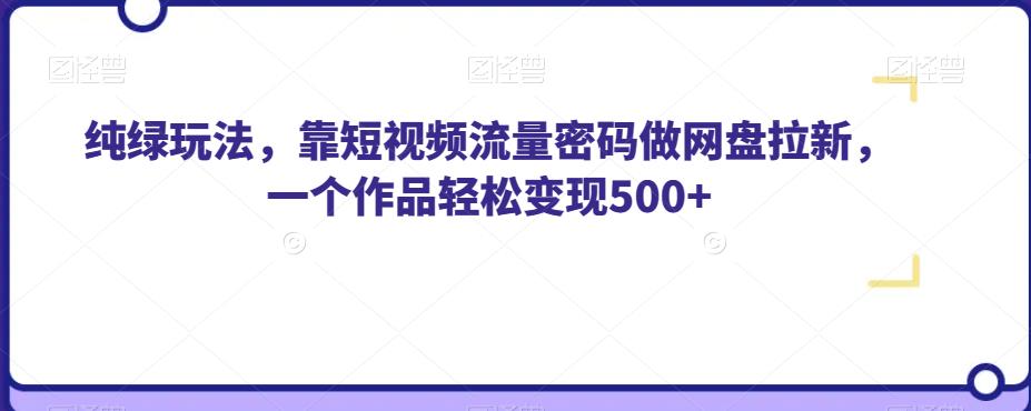 纯绿玩法，靠短视频流量密码做网盘拉新，一个作品轻松变现500+【揭秘】-润泽资源库