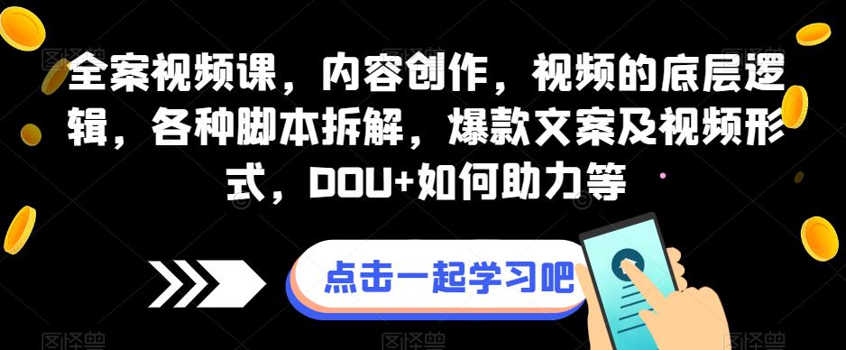 全案视频课，内容创作，视频的底层逻辑，各种脚本拆解，爆款文案及视频形式，DOU+如何助力等-润泽资源库