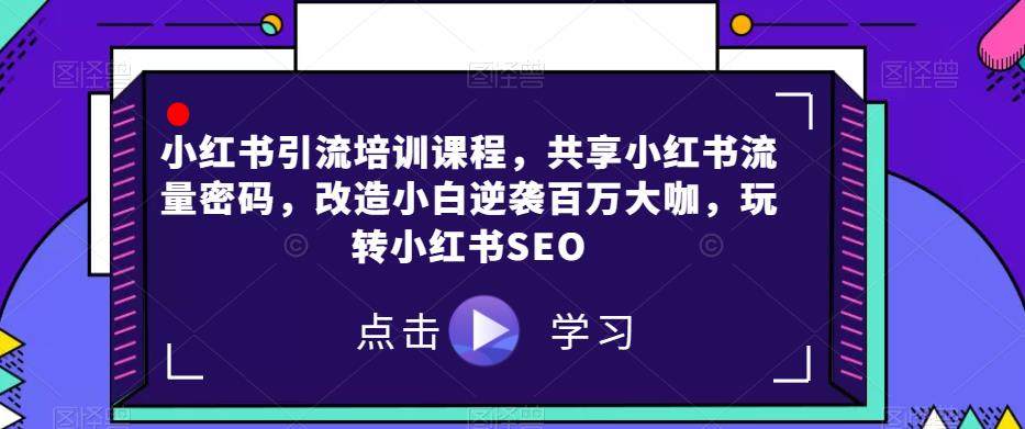 小红书引流培训课程，共享小红书流量密码，改造小白逆袭百万大咖，玩转小红书SEO-润泽资源库