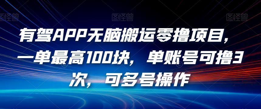 有驾APP无脑搬运零撸项目,一单最高100块,单账号可撸3次,可多号操作【揭秘】-润泽资源库