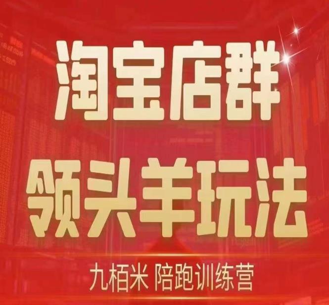 九栢米-淘宝店群领头羊玩法，教你整个淘宝店群领头羊玩法以及精细化/终极蓝海/尾销等内容-润泽资源库