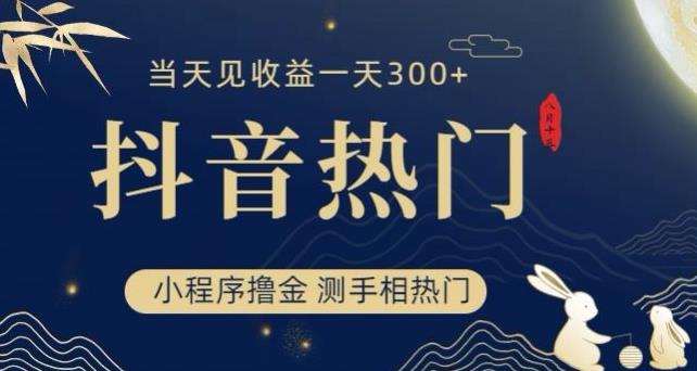 抖音最新小程序撸金，测手相上热门，当天见收益一小时变现300+【揭秘】-润泽资源库