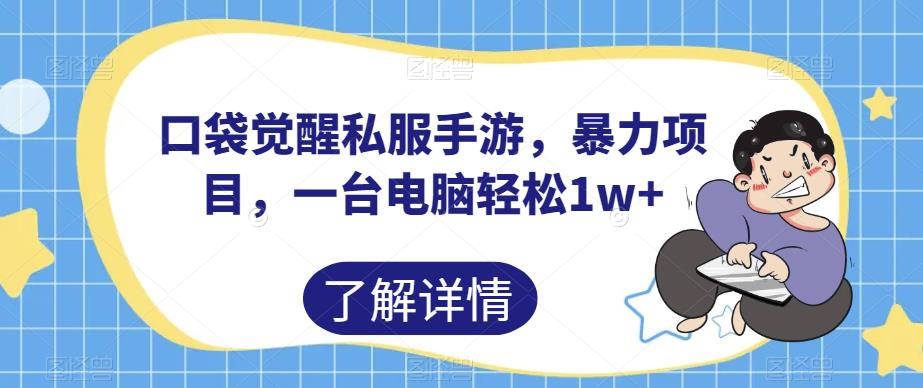 口袋觉醒私服手游，暴力项目，一台电脑轻松1w+【揭秘】-润泽资源库