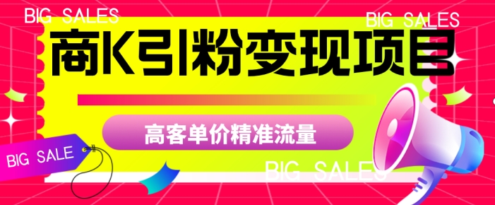商K引粉变现项目，高客单价精准流量【揭秘】-润泽资源库