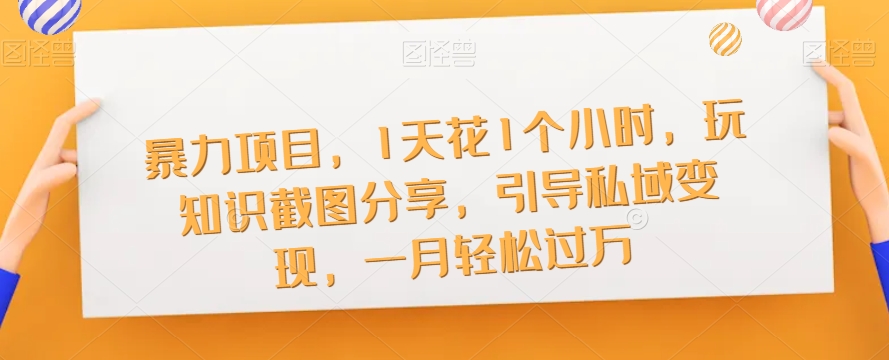 暴力项目，1天花1个小时，玩知识截图分享，引导私域变现，一月轻松过万【截图】-润泽资源库