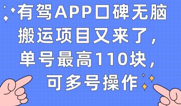 有驾APP口碑无脑搬运项目又来了，单号最高110块，可多号操作-润泽资源库