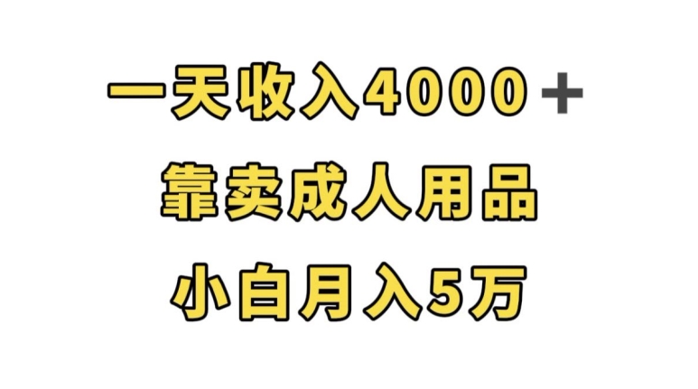 一天收入4000+,靠卖成人用品,小白轻松月入5万【揭秘】-润泽资源库
