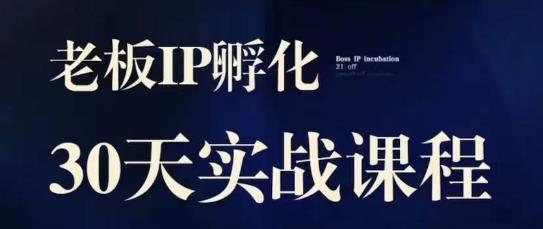 诸葛·2023老板IP实战课，实体同城引流获客，IP孵化必听-润泽资源库