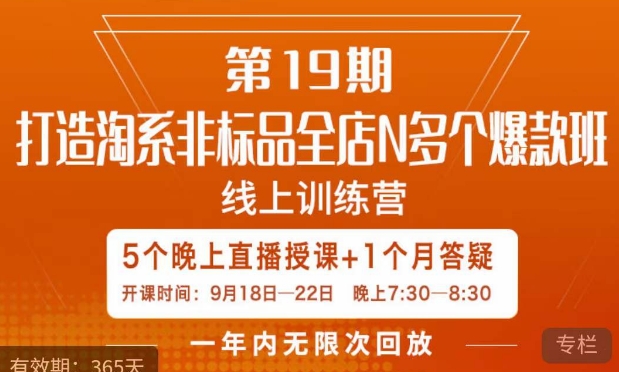 打造淘系非标全店N多个爆款线上课，​5天直播课-润泽资源库