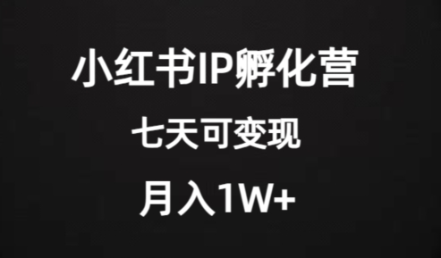 价值2000+的小红书IP孵化营项目，超级大蓝海，七天即可开始变现，稳定月入1W+-润泽资源库