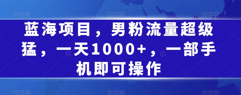 蓝海项目，男粉流量超级猛，一天1000+，一部手机即可操作【揭秘】-润泽资源库