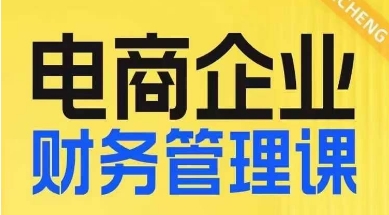 电商企业财务管理线上课，为电商企业规划财税-润泽资源库