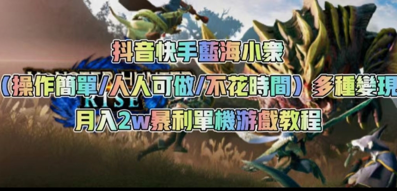 抖音快手蓝海小众（操作简单人人可做不花时间）多种变现月入2w＋暴利单机游戏教程-润泽资源库