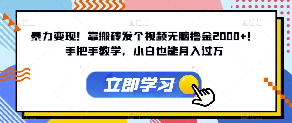 暴力变现！靠搬砖发个视频无脑撸金2000+！手把手教学，小白也能月入过万【揭秘】-润泽资源库