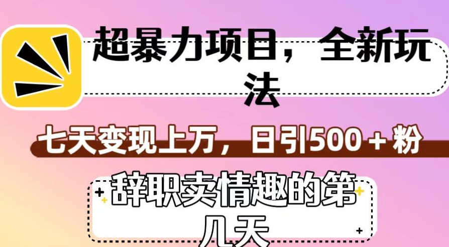 超暴利项目，全新玩法（辞职卖情趣的第几天），七天变现上万，日引500+粉【揭秘】-润泽资源库