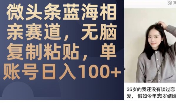 微头条蓝海相亲赛道，无脑复制粘贴，单账号日入100+-润泽资源库