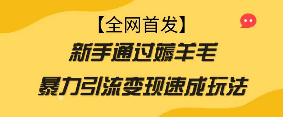 【全网首发】新手通过薅羊毛暴力引流变现速成玩法-润泽资源库
