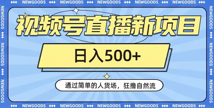 视频号直播新项目，通过简单的人货场，狂撸自然流，日入500+【260G资料】-润泽资源库