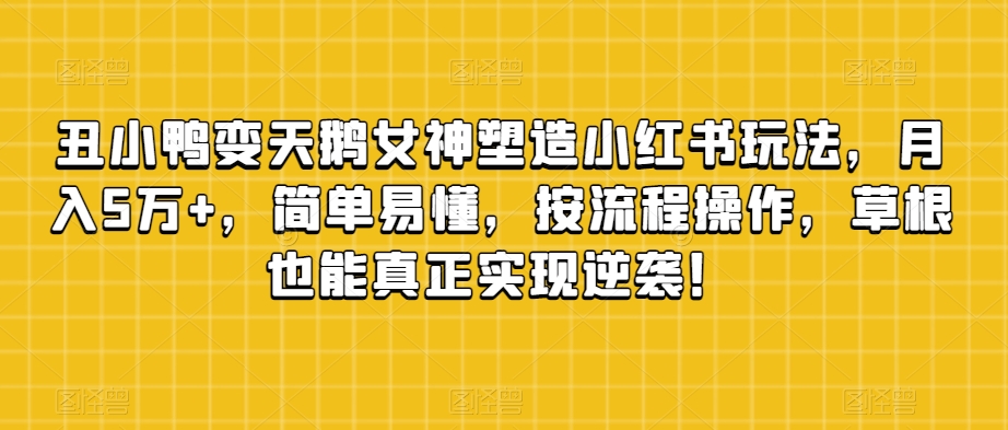 丑小鸭变天鹅女神塑造小红书玩法，月入5万+，简单易懂，按流程操作，草根也能真正实现逆袭！-润泽资源库