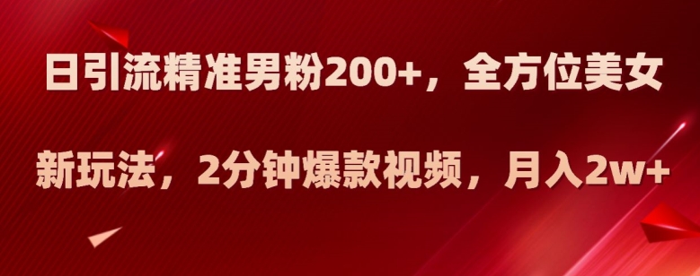 日引流精准男粉200+，全方位美女新玩法，2分钟爆款视频，月入2w+【揭秘】-润泽资源库