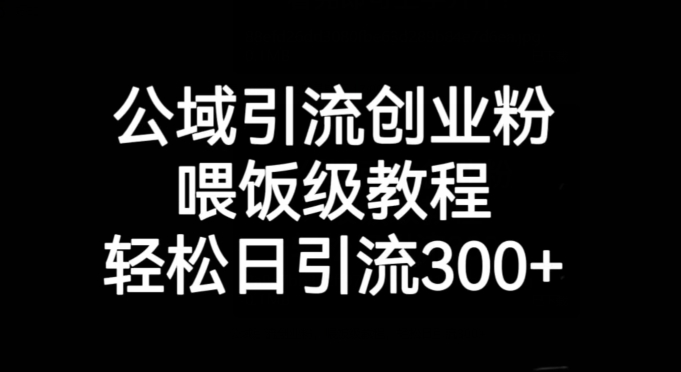 公域引流创业粉，喂饭级教程，轻松日引流300+【揭秘】-润泽资源库