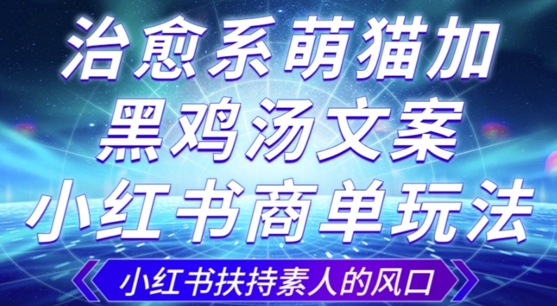 治愈系萌猫加+黑鸡汤文案，小红书商单玩法，3~10天涨到1000粉，一单200左右-润泽资源库