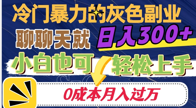冷门暴利的副业项目，聊聊天就能日入300+，0成本月入过万【揭秘】-润泽资源库