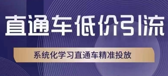 直通车低价引流课，系统化学习直通车精准投放-润泽资源库