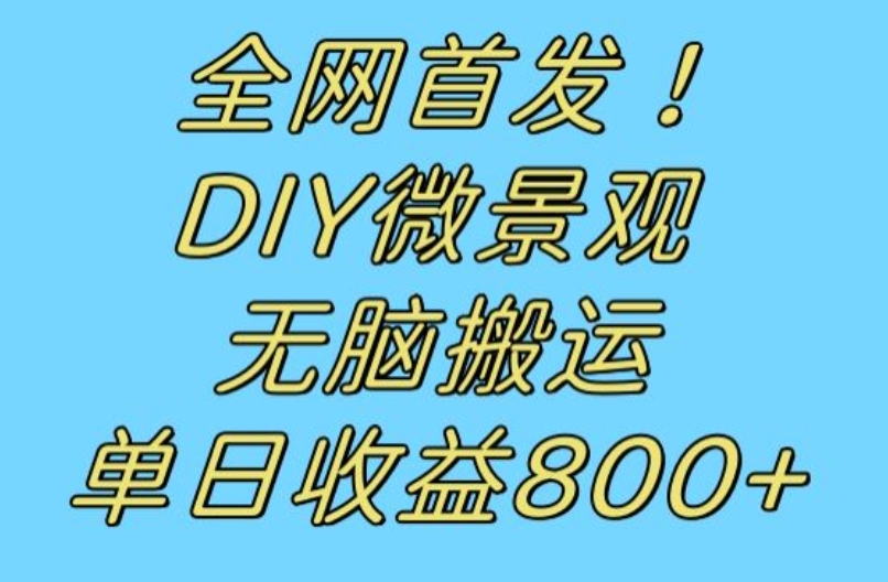 全网首发冷门赛道！DIY微景观，无脑搬运视频，日收益800+【揭秘】-润泽资源库