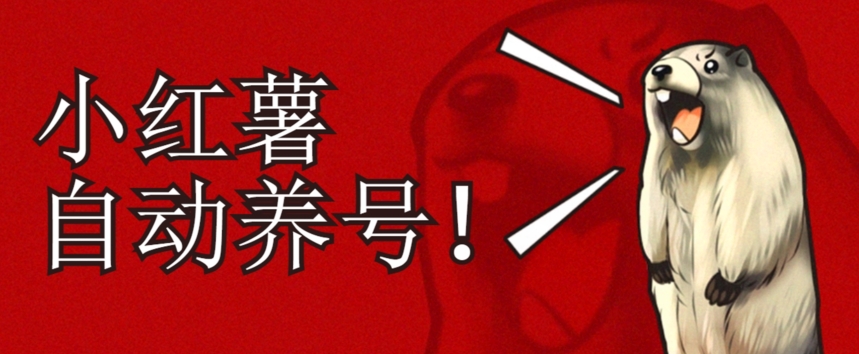 小红书养号秘籍，如何自动涨粉清晰系统标签打造高权重账号【揭秘】-润泽资源库
