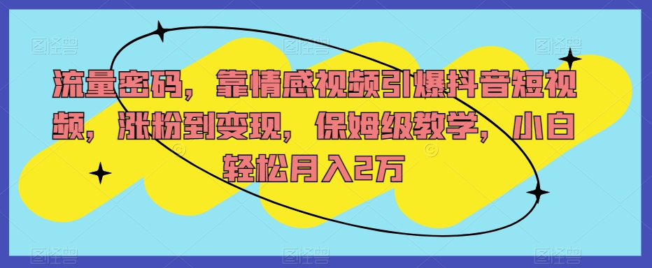 流量密码，靠情感视频引爆抖音短视频，涨粉到变现，保姆级教学，小白轻松月入2万【揭秘】-润泽资源库