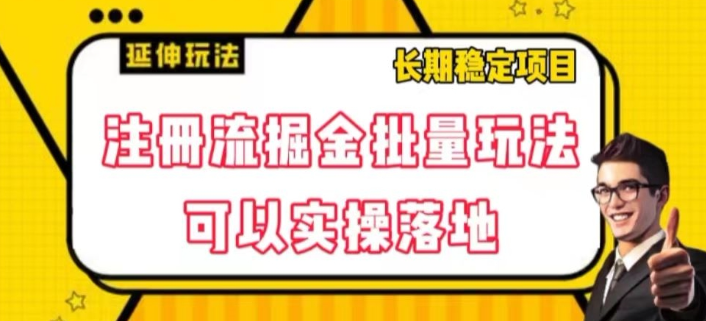 注册流掘金批量玩法，可以实操落地【揭秘】-润泽资源库