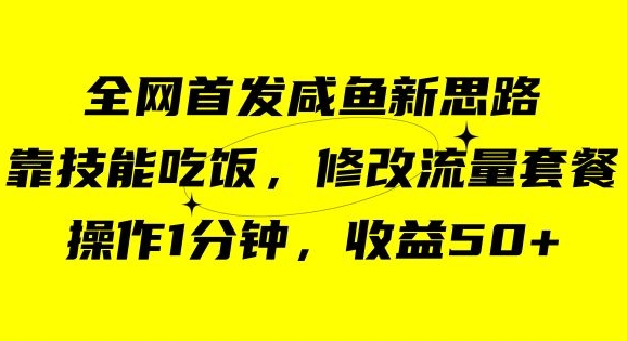 咸鱼冷门新玩法，靠“技能吃饭”，修改流量套餐，操作1分钟，收益50【揭秘】-润泽资源库