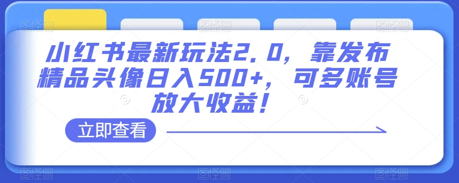 小红书最新玩法2.0，靠发布精品头像日入500+，可多账号放大收益！【揭秘】-润泽资源库